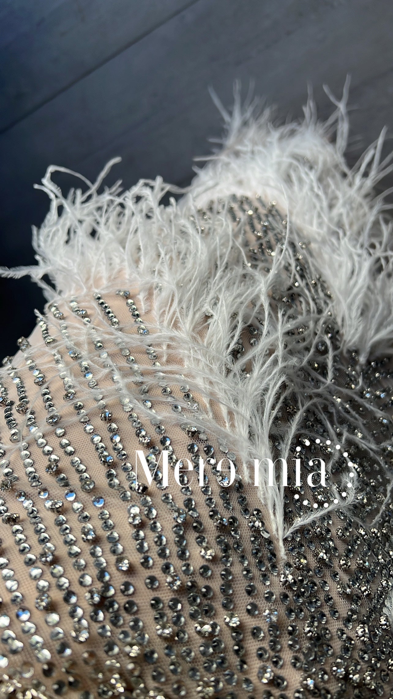 Conjunto apl plumas trans